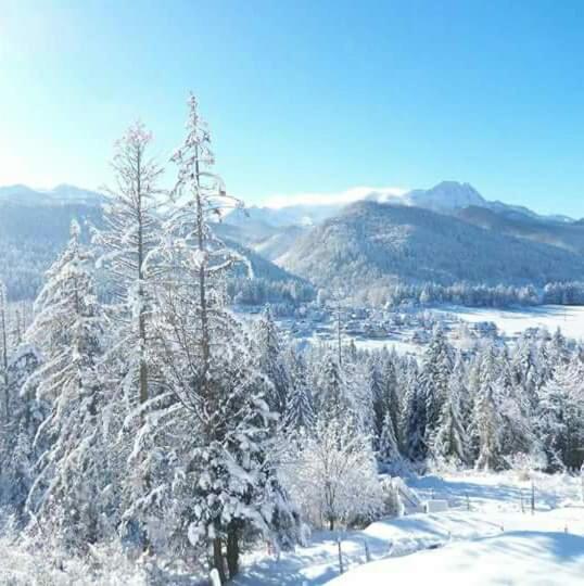 Pokoje Goscinne Anna Bobak Zakopane Exterior foto